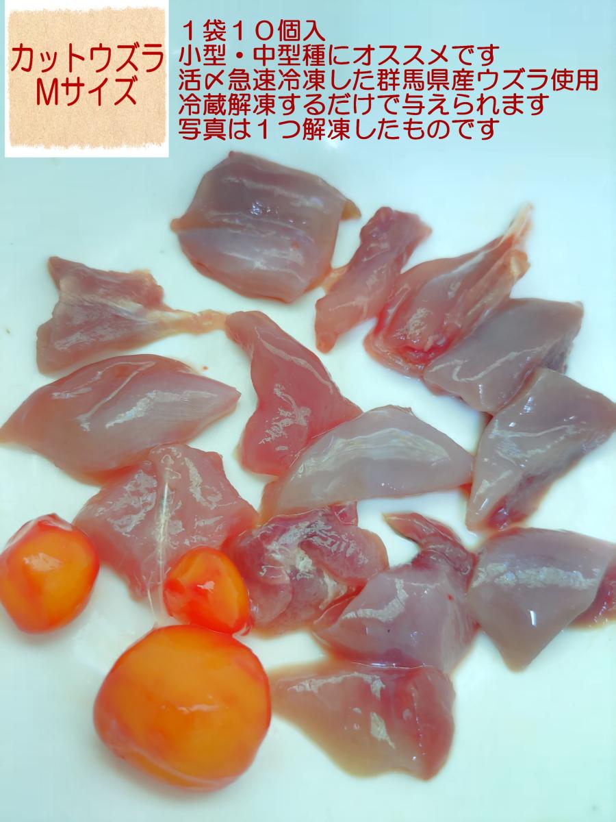 カットウズラM清書【元本 
