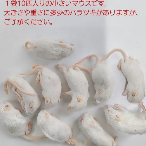 冷凍マウス 冷凍ファジーマウス(10匹入)の販売情報イメージ2