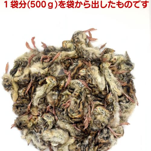冷凍ウズラ 冷凍ヒナウズラの販売情報イメージ3