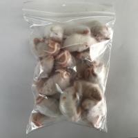 国産　冷凍ファジーマウス　25匹イメージ