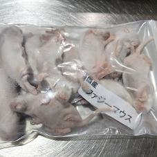 冷凍マウス 国産冷凍ファジーマウス(10匹入)の販売情報イメージ2