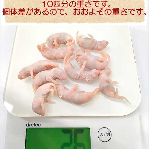 冷凍マウス 国産冷凍ピンクマウスM(10匹入)の販売情報イメージ3