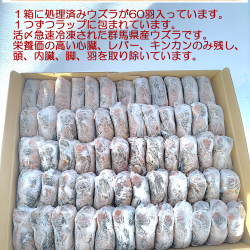 冷凍ウズラ 冷凍ウズラ処理済み　個包装６０羽入りの販売情報イメージ2