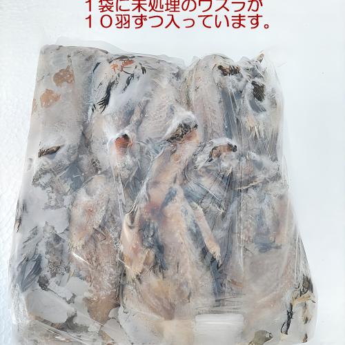 冷凍ウズラ 冷凍ウズラ　未処理40羽入り　箱詰めの販売情報イメージ2